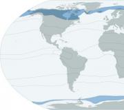 Климатические пояса земли Климатическая карта мира вид карты по содержанию